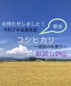 滋賀県産減農薬栽培　新米コシヒカリ　みずみずしくほんのり甘い湖