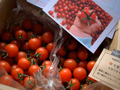 みんなの投稿の画像