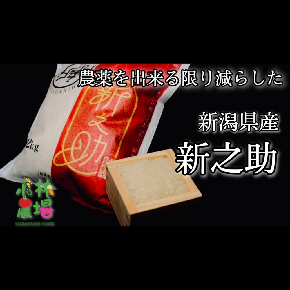 【新米！】令和5年 新潟産 新之助【農薬7割減】