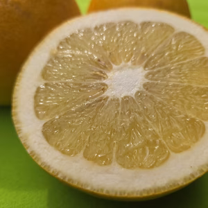 土佐文旦　美味しいですおススメ