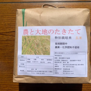 【2ヶ月に1回定期】たきたて農薬・化学肥料不使用 玄米2kg～