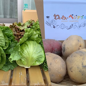 今が旬のお野菜ペアセット❗️