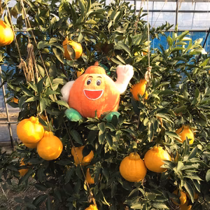 お買い得品❗️訳ありサイズコミコミデコ3k