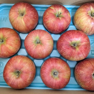 シナノスイート 3kg