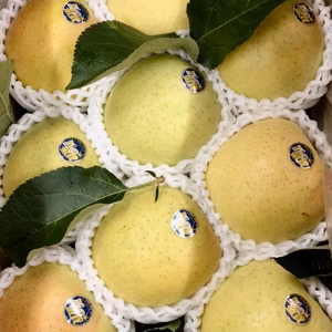 星の金貨【黒石生まれの希少品種】最高級3キロ