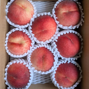 桃 川中島白鳳　 約２Ｋ