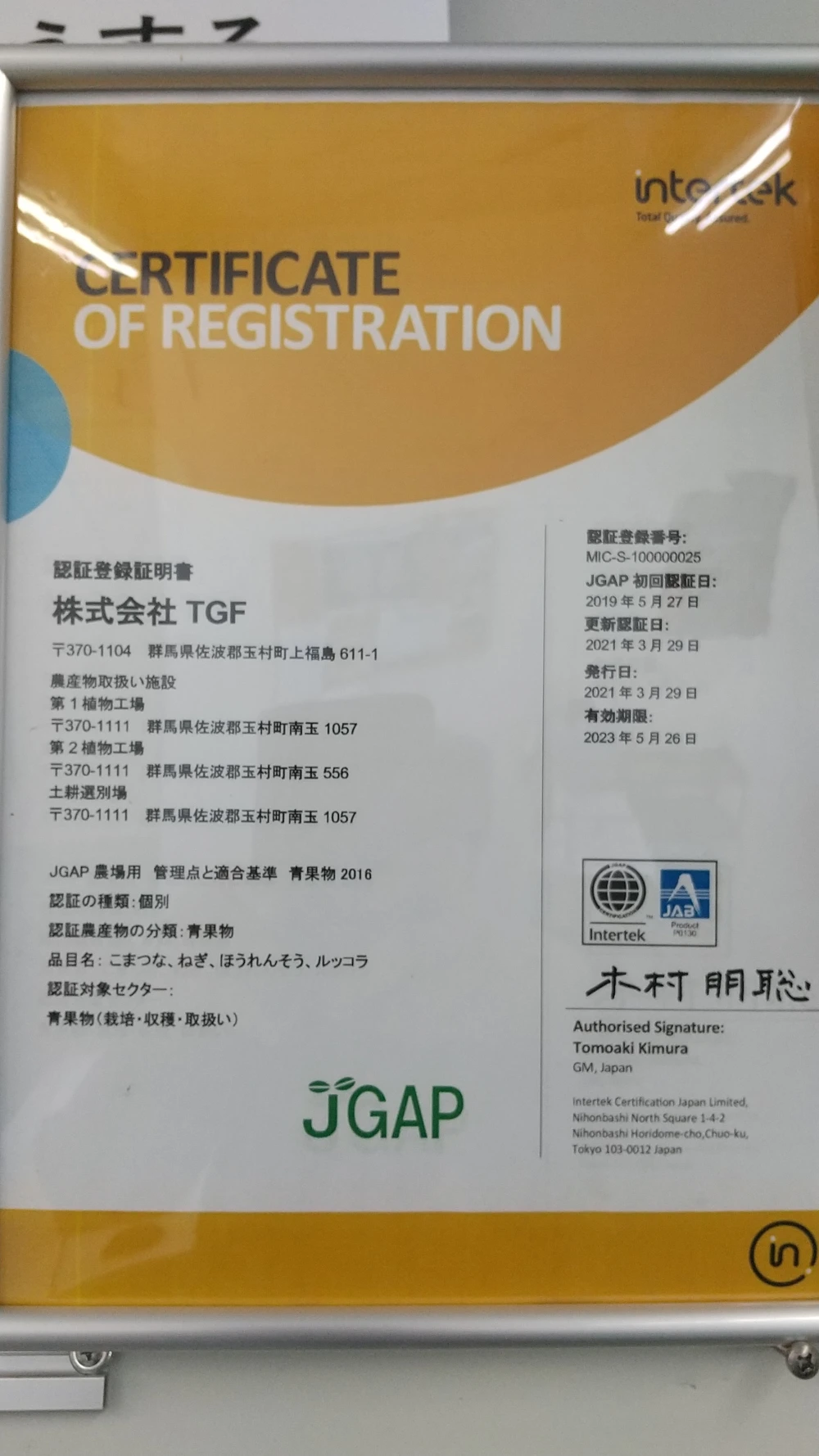 【JGAP認定農場】バラ売り！水耕栽培のサラダほうれん草＋小松菜！