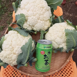 コリッコリッで甘～い❣かまちゃん農園のカリフラワー!!