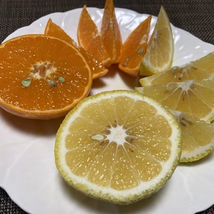 麗紅＆はるか詰め合わせ　お試し食べ比べセット1.8kg　