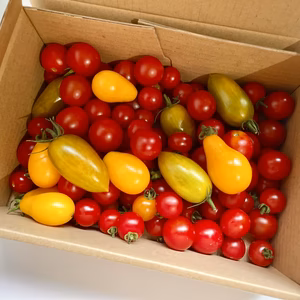 ミニトマト（オーガニック）1kg