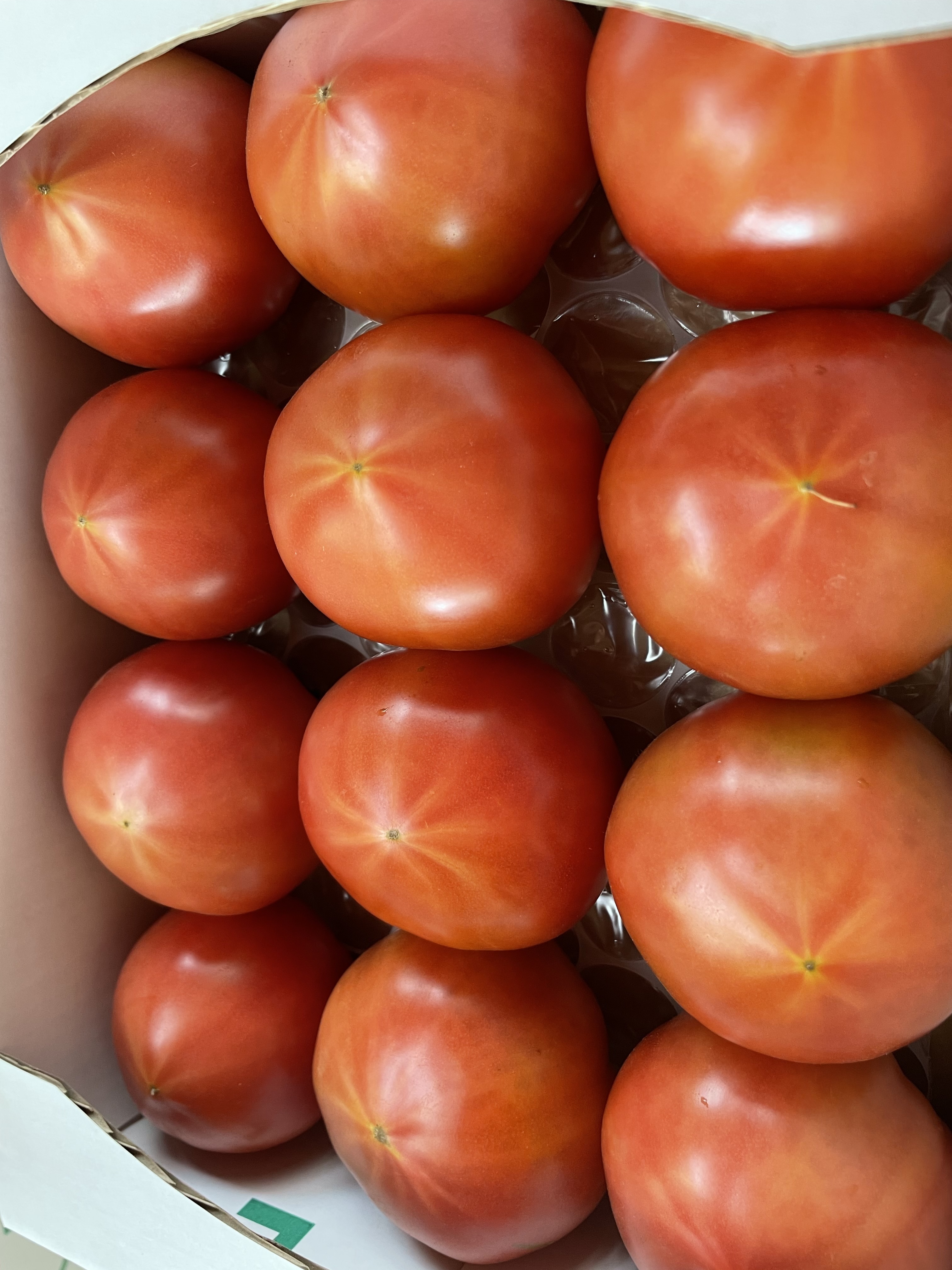 [冷蔵便]ずっしり!旨い!もぎたて桃太郎トマト♡食べたらトリコ 小箱 箱込約2.0kg