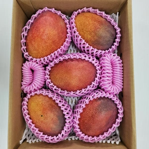 でっかいマンゴー‼️1個500g以上宮古島産(ご家庭用)アップルマンゴー約3キロ