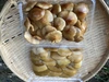 天然なめこ・ムキ茸と焼き畑の赤カブ漬