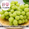 【訳あり】【9月中旬発送】山形県高畠町産シャインマスカット約1.5キロ