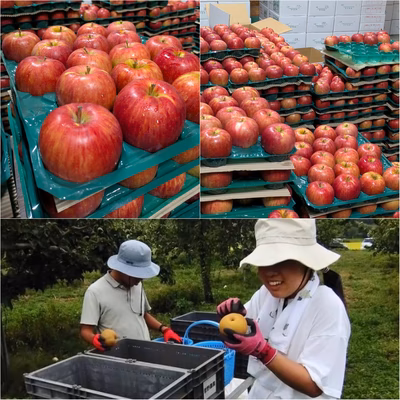 みんなの投稿の画像