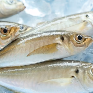 （冷凍）いけすやの活あじふらい（小分1枚入）　５パック