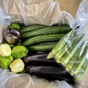 湖国の旬便り〜ないとうさん家の野菜おまかせセット〜