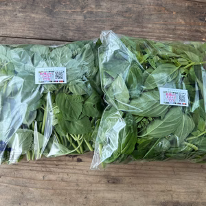 ☆有機JAS認証☆ホーリーバジル　500g×2袋