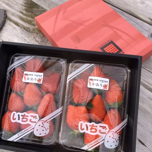 2パック入り「きららBox」