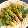 《予約受付》採れたて山菜天然たらの芽  天ぷら・パスタ等で
