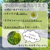 【新茶ギフト】この時期だけの季節の便り！R8年新茶２品種飲み比べ！
