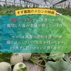ジューシーで甘い、オルフェメロン！