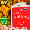 【極早生・有田みかん】“小玉ちゃん”／等級混合・約2.2kg×2箱【南泰園】