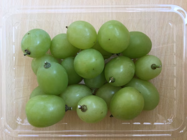 2023 粒•粒　ぶどう　第4弾