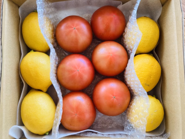 【お試しセット】新鮮美味しい！『トマトとレモン。』