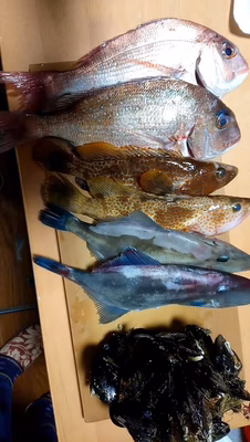 みんなの投稿の画像