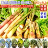 天然山菜4種以上詰合せA 1000g以上 山形産《予約受付》