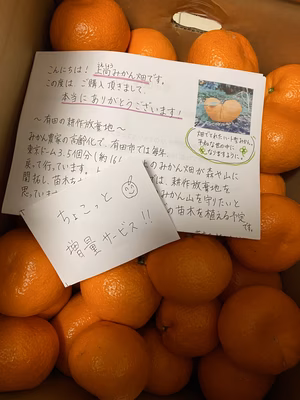 みんなの投稿の画像