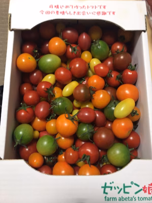 みんなの投稿の画像