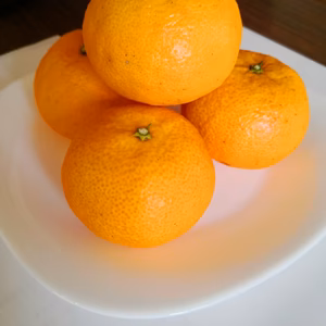 たまみ【農薬不使用】数量限定