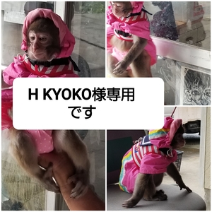 H KYOKO様専用です。