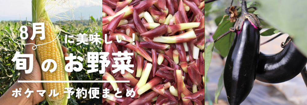 8月の旬 野菜