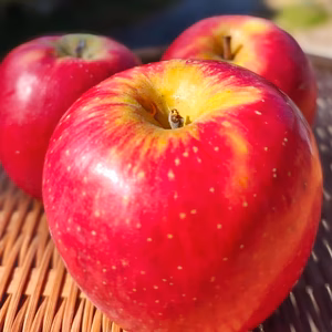 【園主一押し★リピ多数】奥州ロマン！甘いりんご好きならお試しを