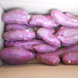 減農薬　紅あずま　2ｋｇ　お徳用