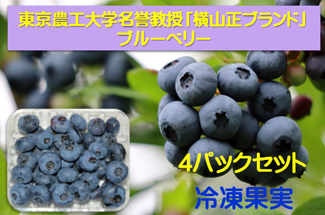 ブルーベリー冷凍果実（北方系4パック）：東京農工大学名誉教授「横山