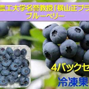 ブルーベリー冷凍果実（北方系4パック）：東京農工大学名誉教授「横山正ブランド」