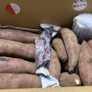 【福袋2026】「今だけセット」さつまいもとさつまいもジャム