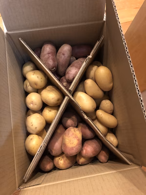 みんなの投稿の画像