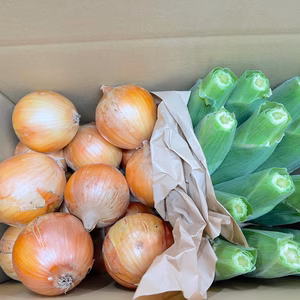 淡路島たまねぎとホワイトコーンのセット