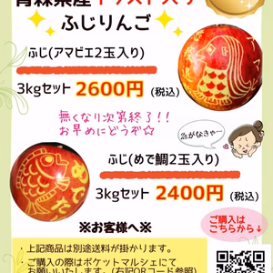 選べる絵入りんごサンふじ3kgセット