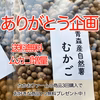 【期間限定・送料無料！】青森産むかご400g（自然薯・長芋・大和芋）