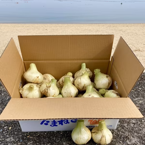 大好評のため再出品✨淡路島新玉ねぎ10kg ‼️