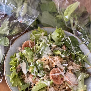 生でシャキッとそのままっ！5種類以上ミックスのベビーリーフ　