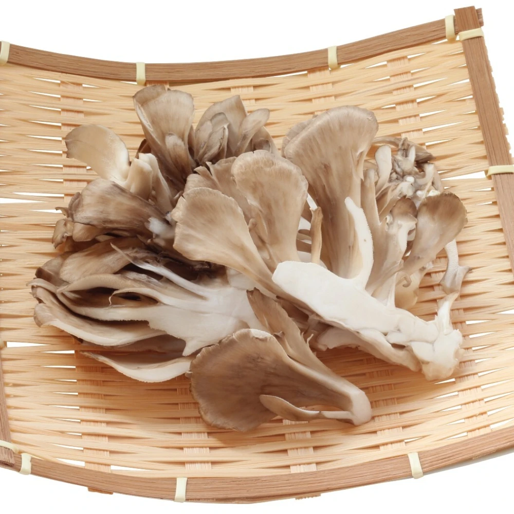 山形県産  「茸・筍・山菜炊き込みご飯の素」200gｘ各1袋 (３袋セット)