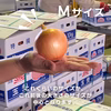 【Mサイズ】淡路島産たまねぎ 特別栽培 兵庫県認証食品