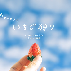 【いちご狩り体験】5品種のテイスティングプラン 都内近郊　　